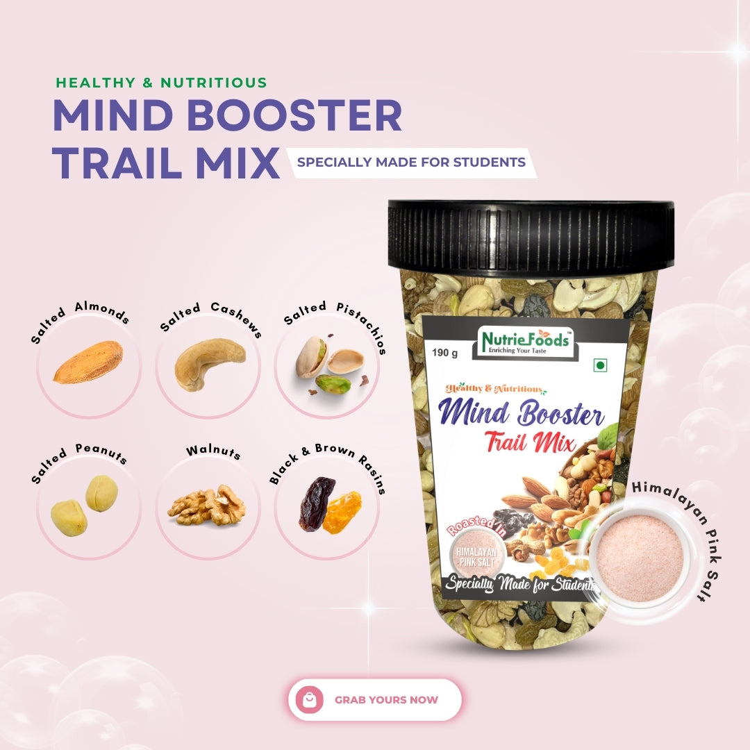 Nutriefoods Nutritious Mind Booster Roasted Snacks Trail Mix, Combo Pack of Classic- Roasted in Salt & Dark Chocolate Chips (380g)