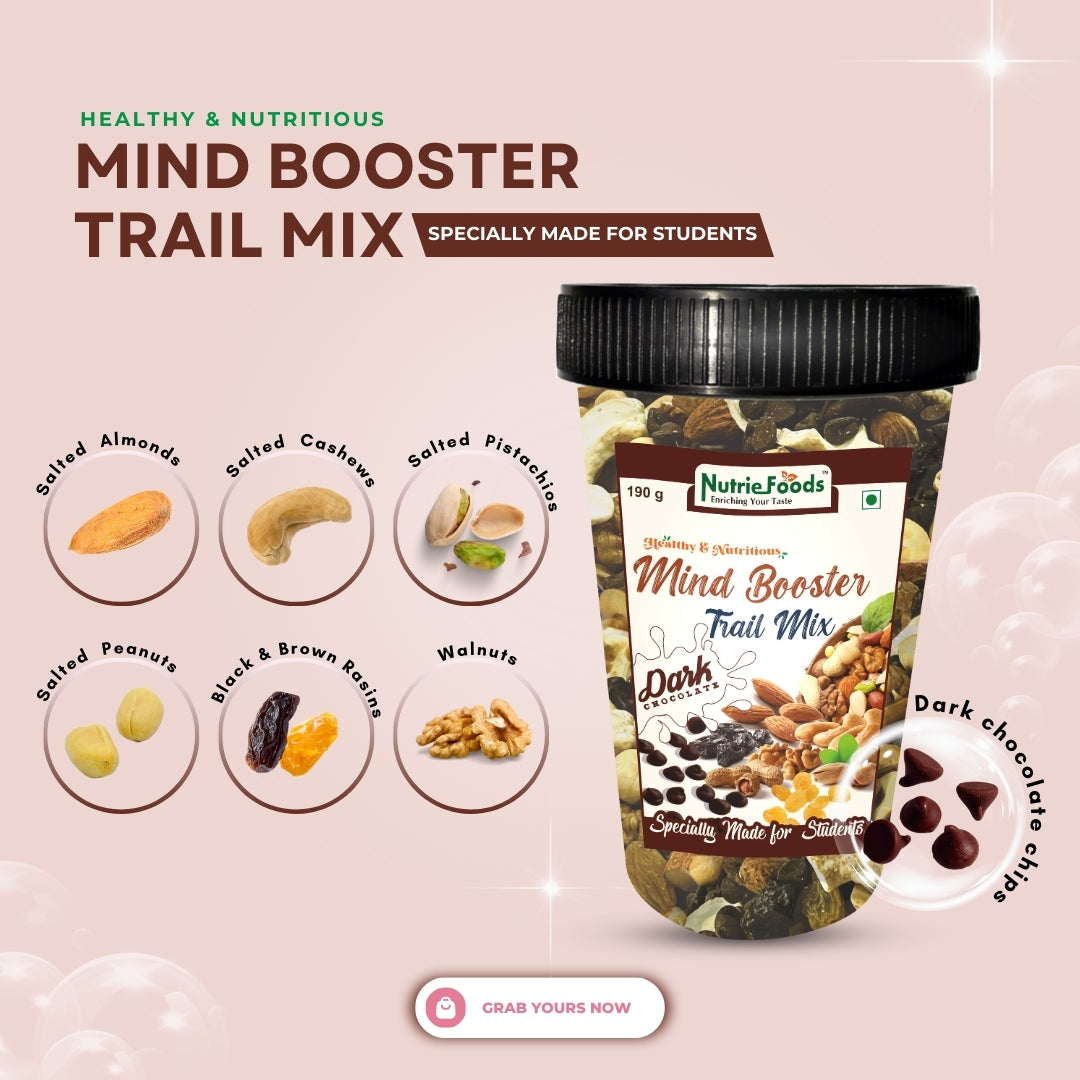 Nutriefoods Nutritious Mind Booster Roasted Snacks Trail Mix, Combo Pack of Classic- Roasted in Salt & Dark Chocolate Chips (380g)